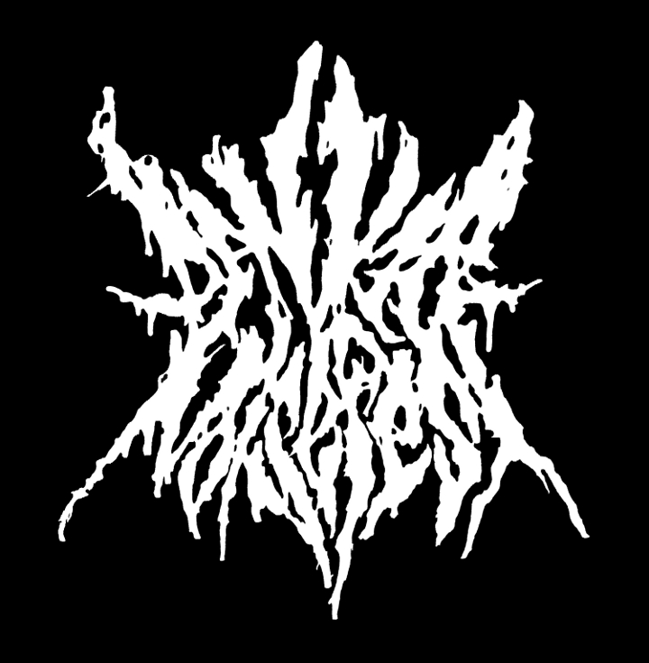 Denver Noise Fest
